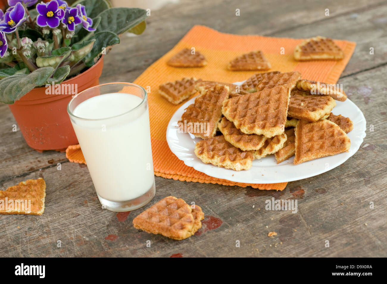 Un bicchiere di latte e biscotti fatti in casa su una piastra. Sweet Food. Foto Stock
