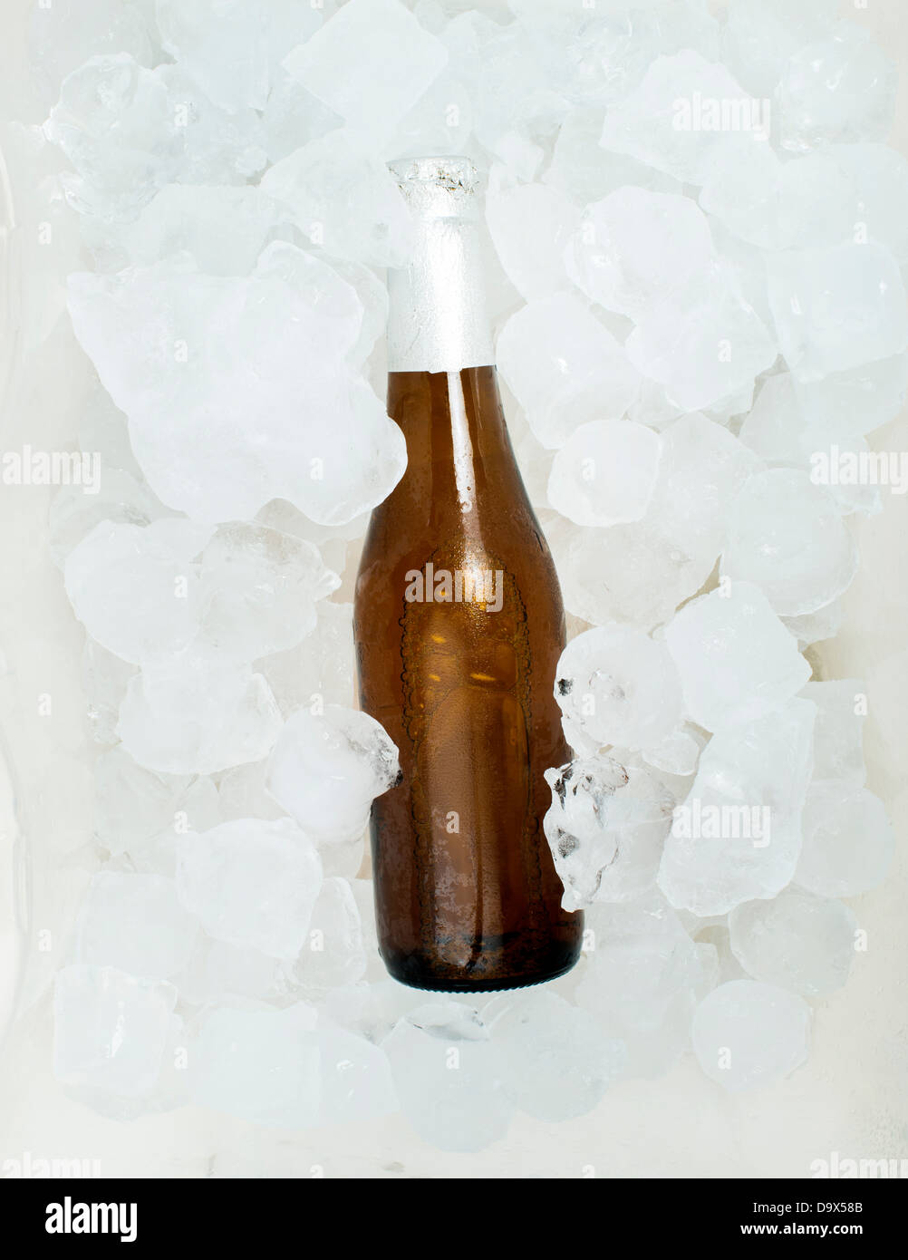 Bottiglia di birra e cubetti di ghiaccio Foto Stock
