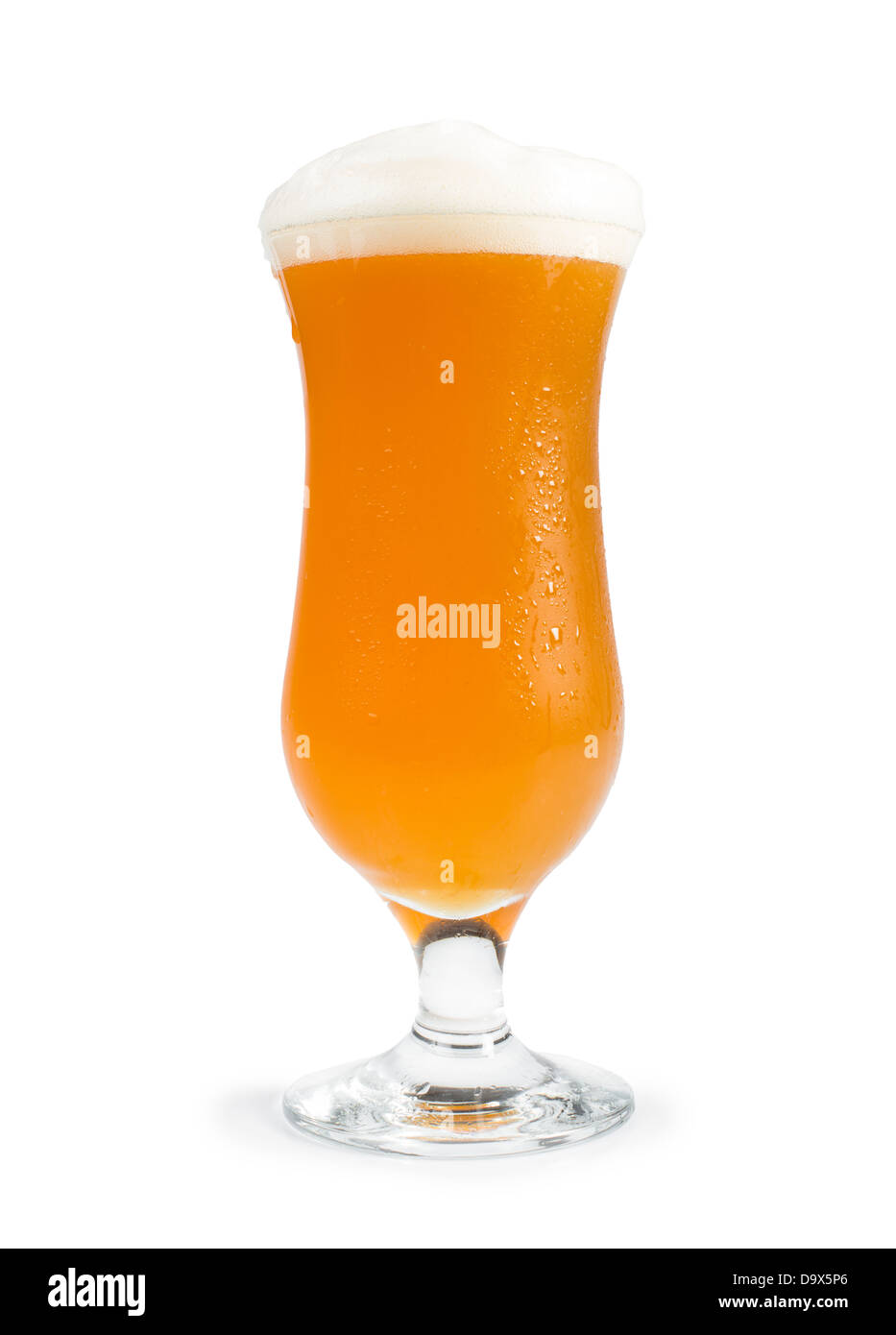 Tazza riempita con birra studio shot Foto Stock