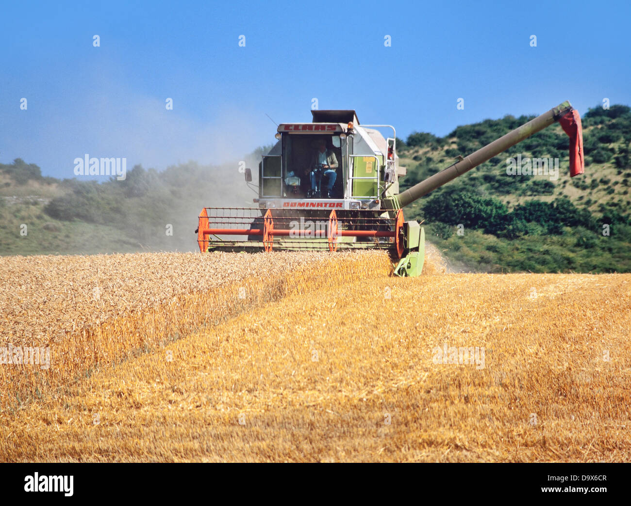 Estate raccolto, Hertfordshire, Regno Unito, mietitrebbia il taglio ben stagionati di frumento, hayrolls Foto Stock