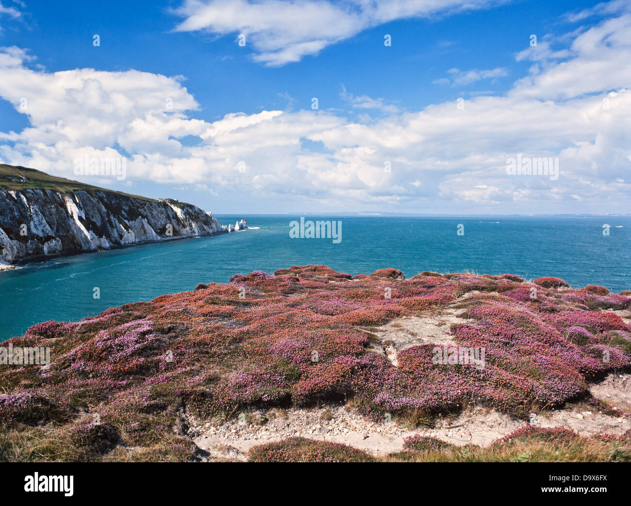 Gli aghi chalk cliffs costa vista, Isle of Wight, Regno Unito, luminosa giornata di sole Foto Stock