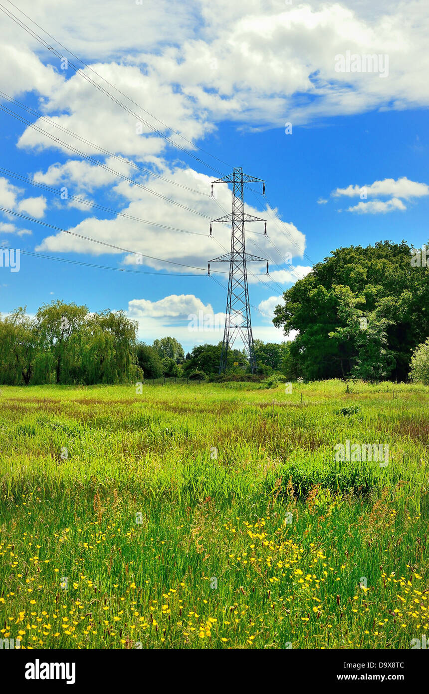 National Grid pilone dell'Ripley Surrey Foto Stock