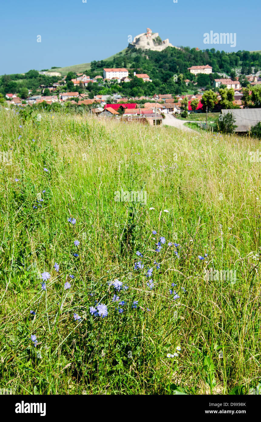 Paesaggio rurale in Transilvania, Rupea Foto Stock