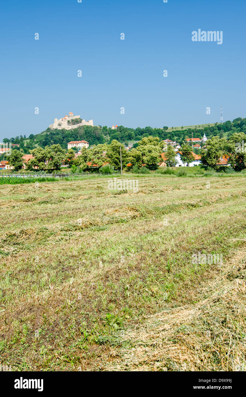 Paesaggio rurale in Transilvania, Rupea Foto Stock