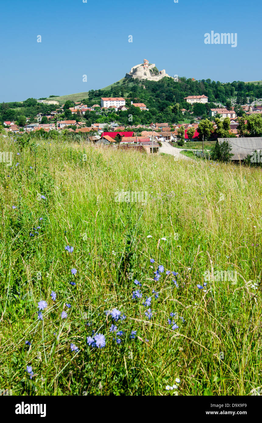 Paesaggio rurale in Transilvania, Rupea Foto Stock