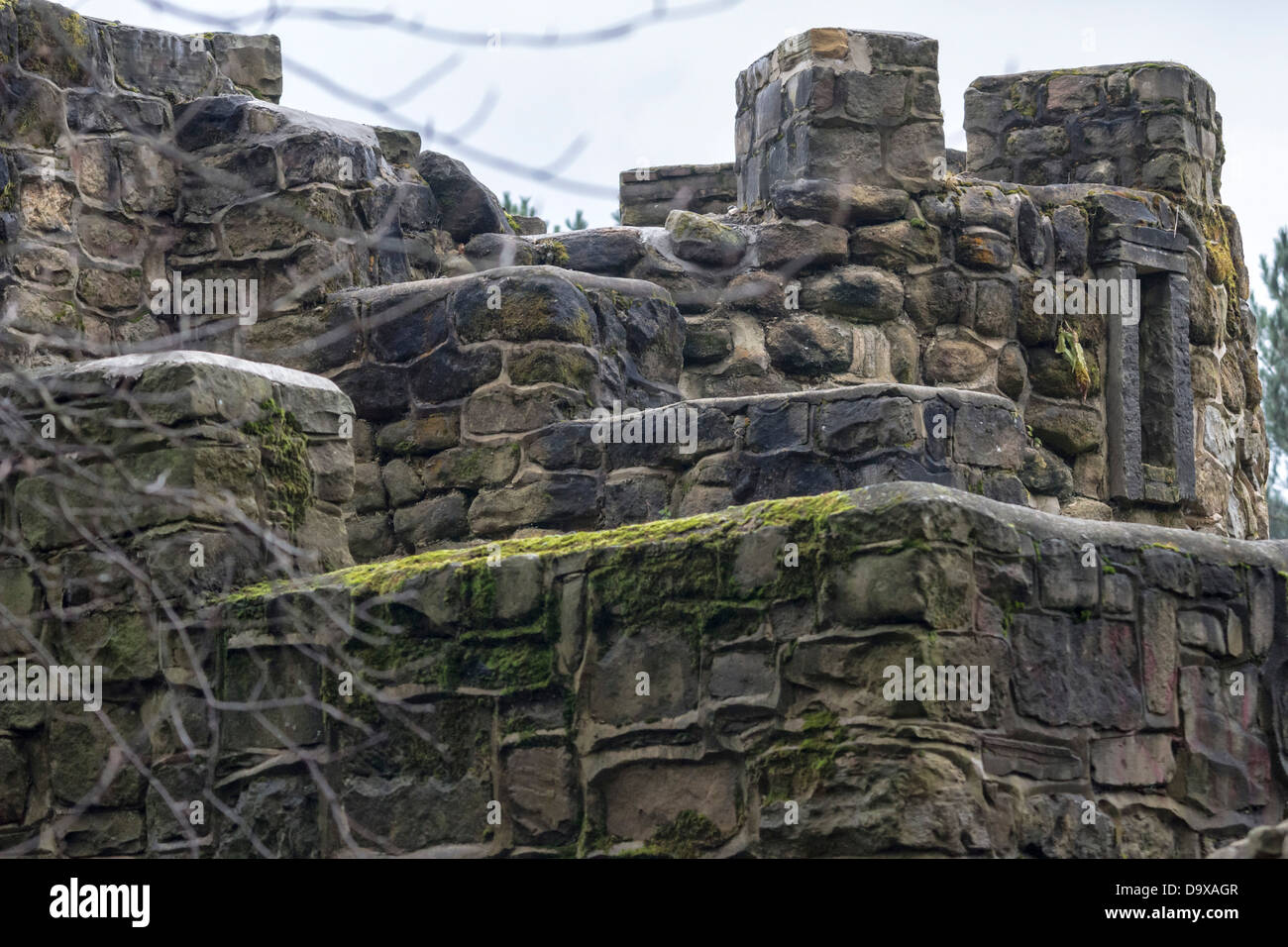 Caratteristiche principali della follia in Roundhay Park Foto Stock