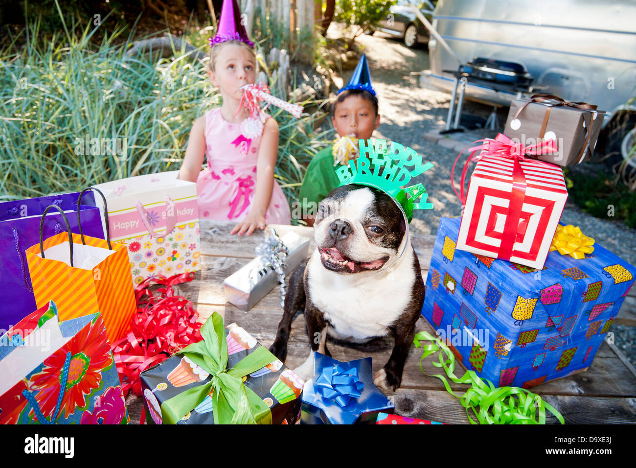 Due bambini e cane a outdoor festa di compleanno Foto Stock