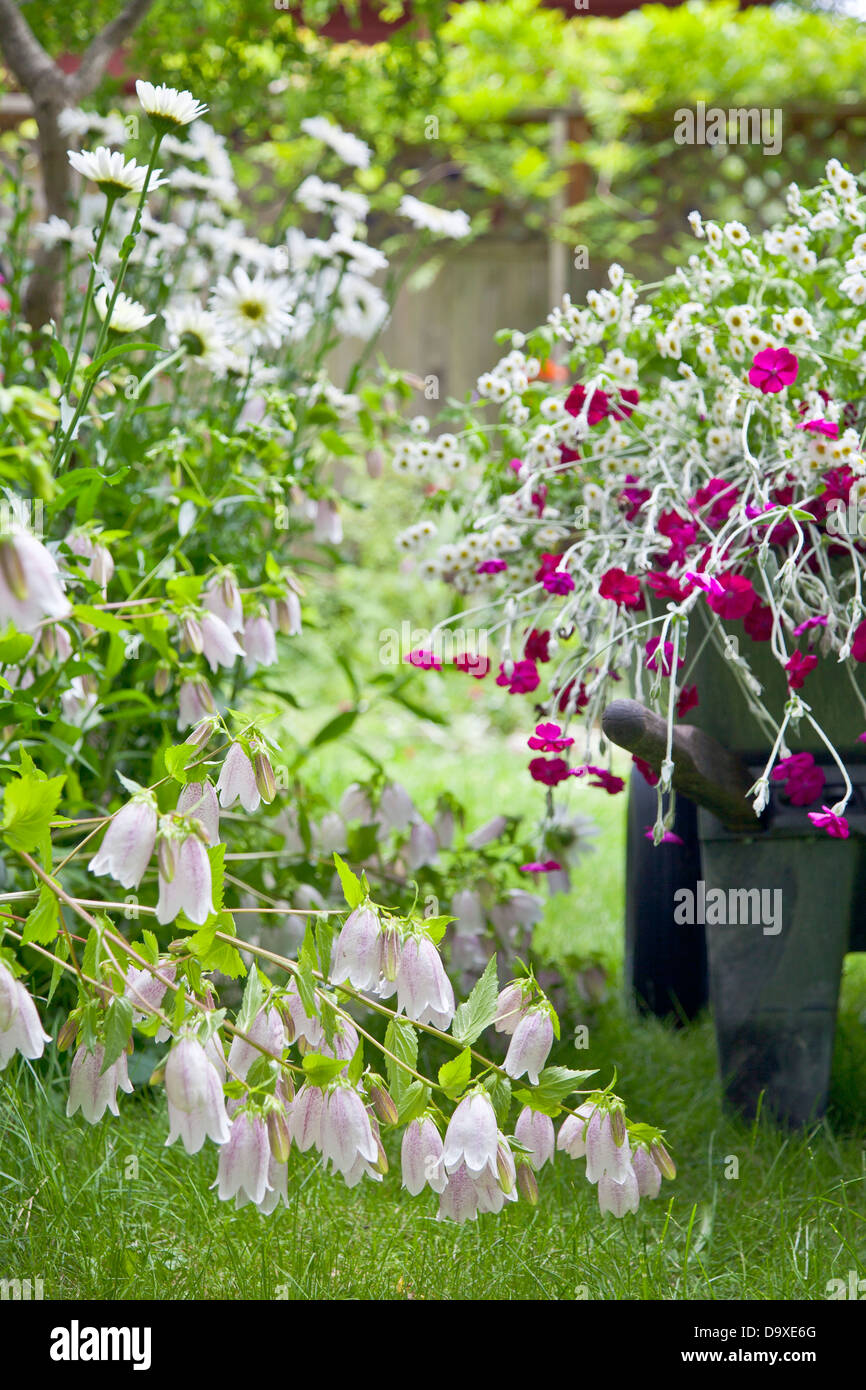 Carriola piena di fiori nel giardino Foto Stock