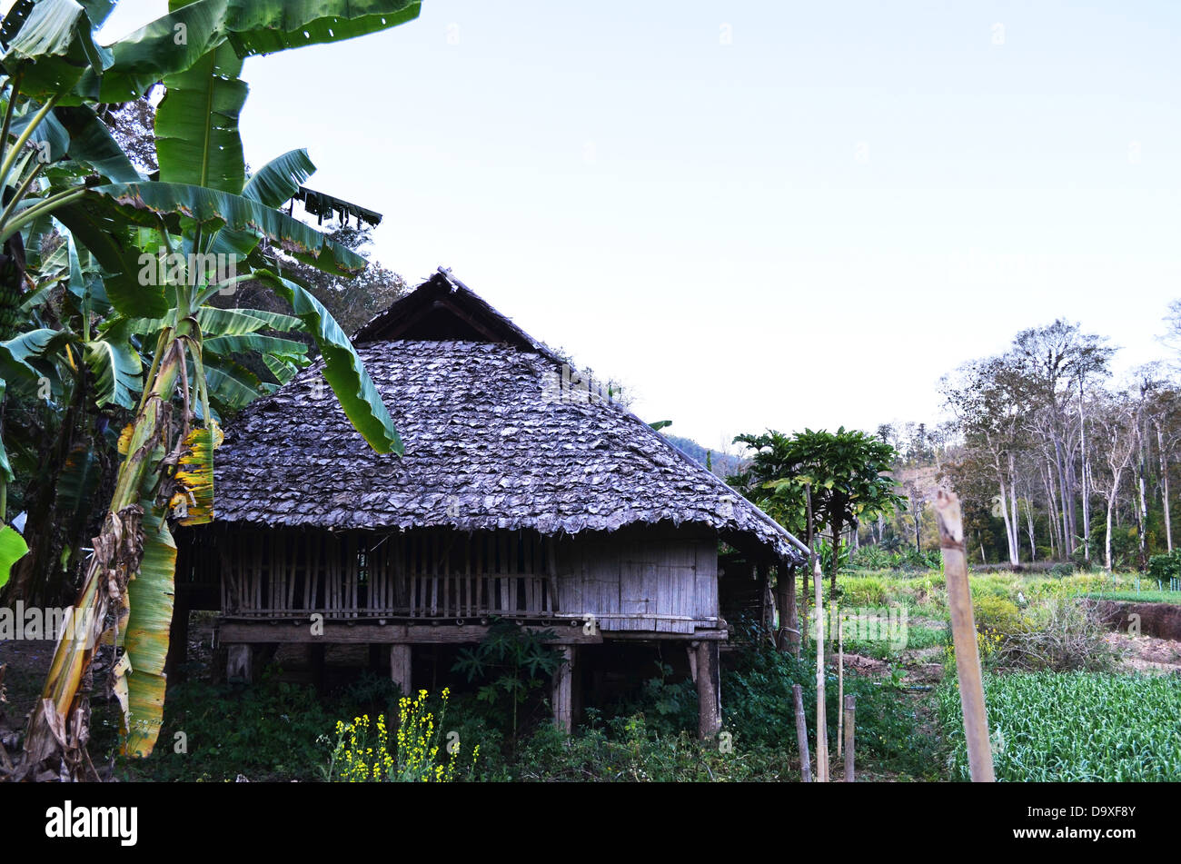 Un cottage capanna a fianco di collina nel paese di Thailandia. Foto Stock