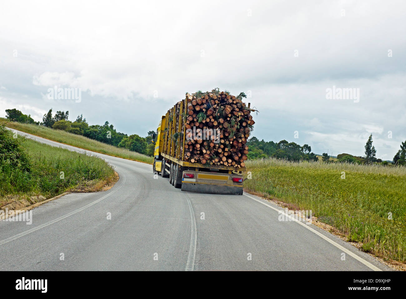 Carrello con guida di legno in campagna dal Portogallo Foto Stock