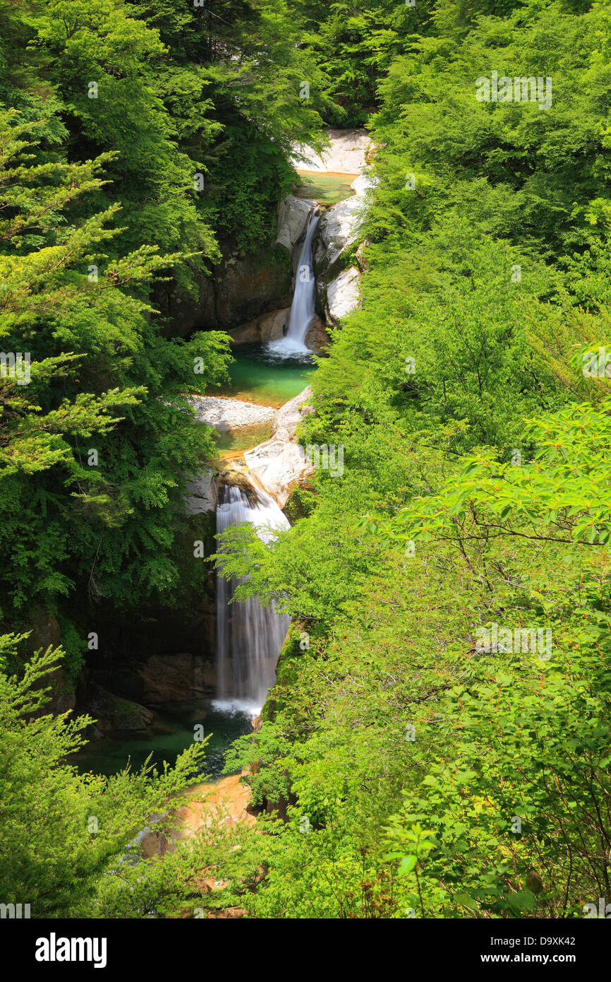 Cascata di fresco verde, Nome è Jinjyataki, Yamanashi, Giappone Foto Stock
