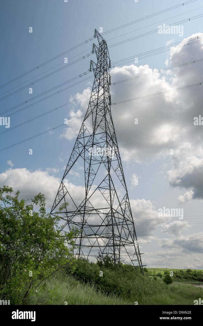 La trasmissione di energia elettrica tralicci in Sud Essex. Foto Stock