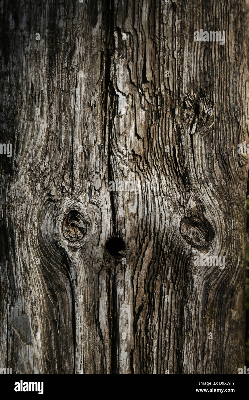 WEATHERED Sfondo legno Foto Stock