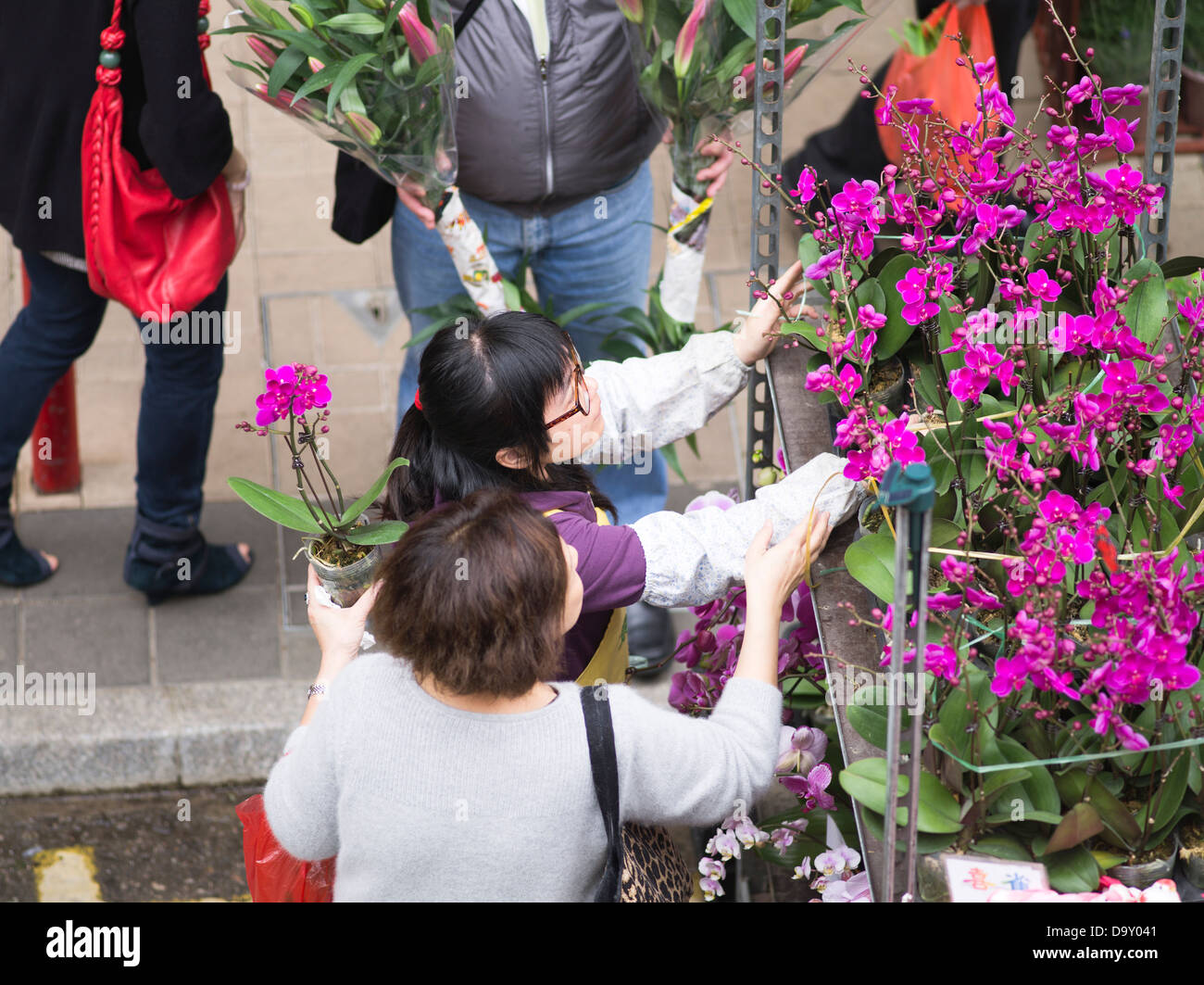 dh mercato dei fiori MONG KOK HONG KONG Donna che compra piante di fiori allo stallo Chinese New Year negozio di fiori Foto Stock