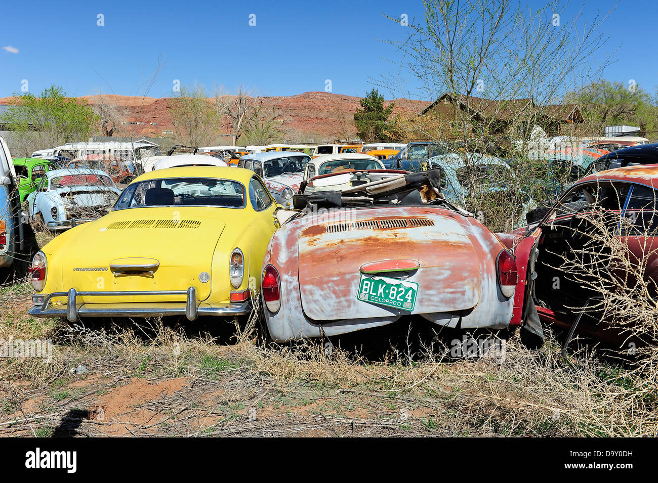 I rottami cortile pieno di Volkswagen auto e furgoni. Nei pressi di Moab, Utah, Stati Uniti d'America. Foto Stock