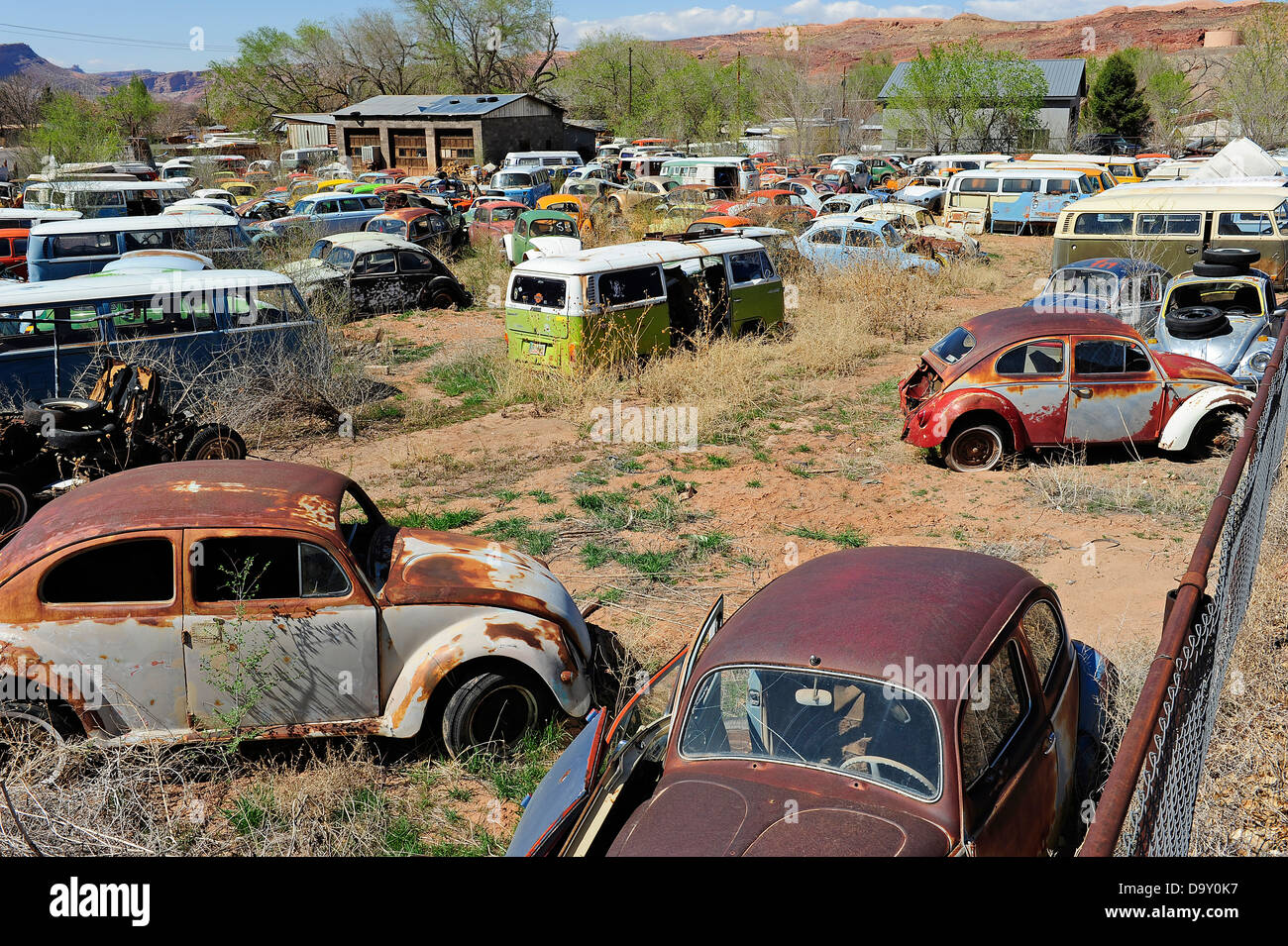 I rottami cortile pieno di Volkswagen auto e furgoni. Nei pressi di Moab, Utah, Stati Uniti d'America. Foto Stock