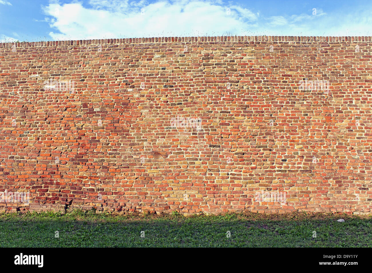 Muro di mattoni texture con erba e cielo come sfondo Foto Stock