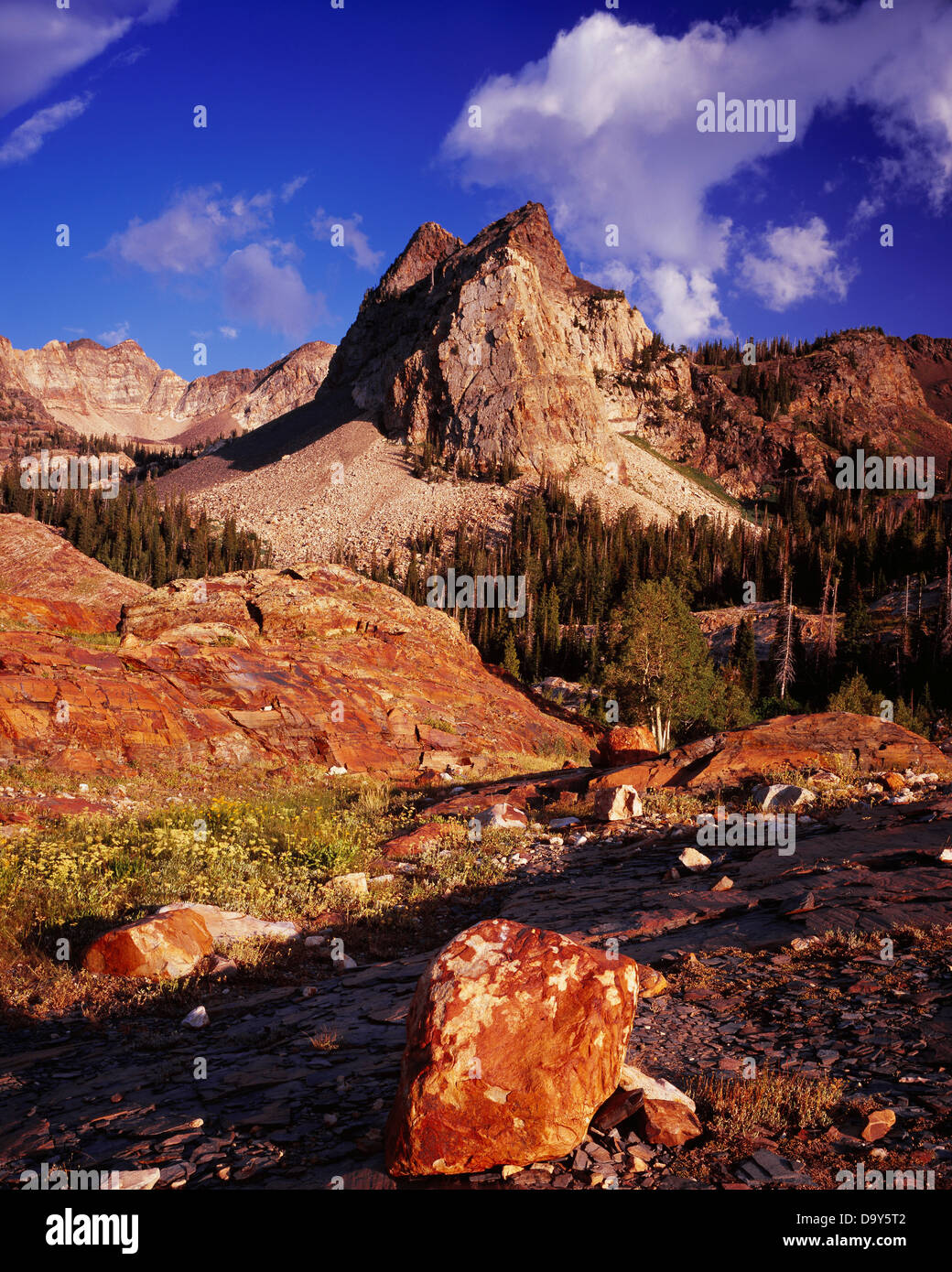 Piccola irregolare glaciale Meridiana mulino di picco B forcella grandi pioppi neri americani Canyon Twin Peaks deserto Wasatch Range nazionale Wasatch-Cache Foto Stock