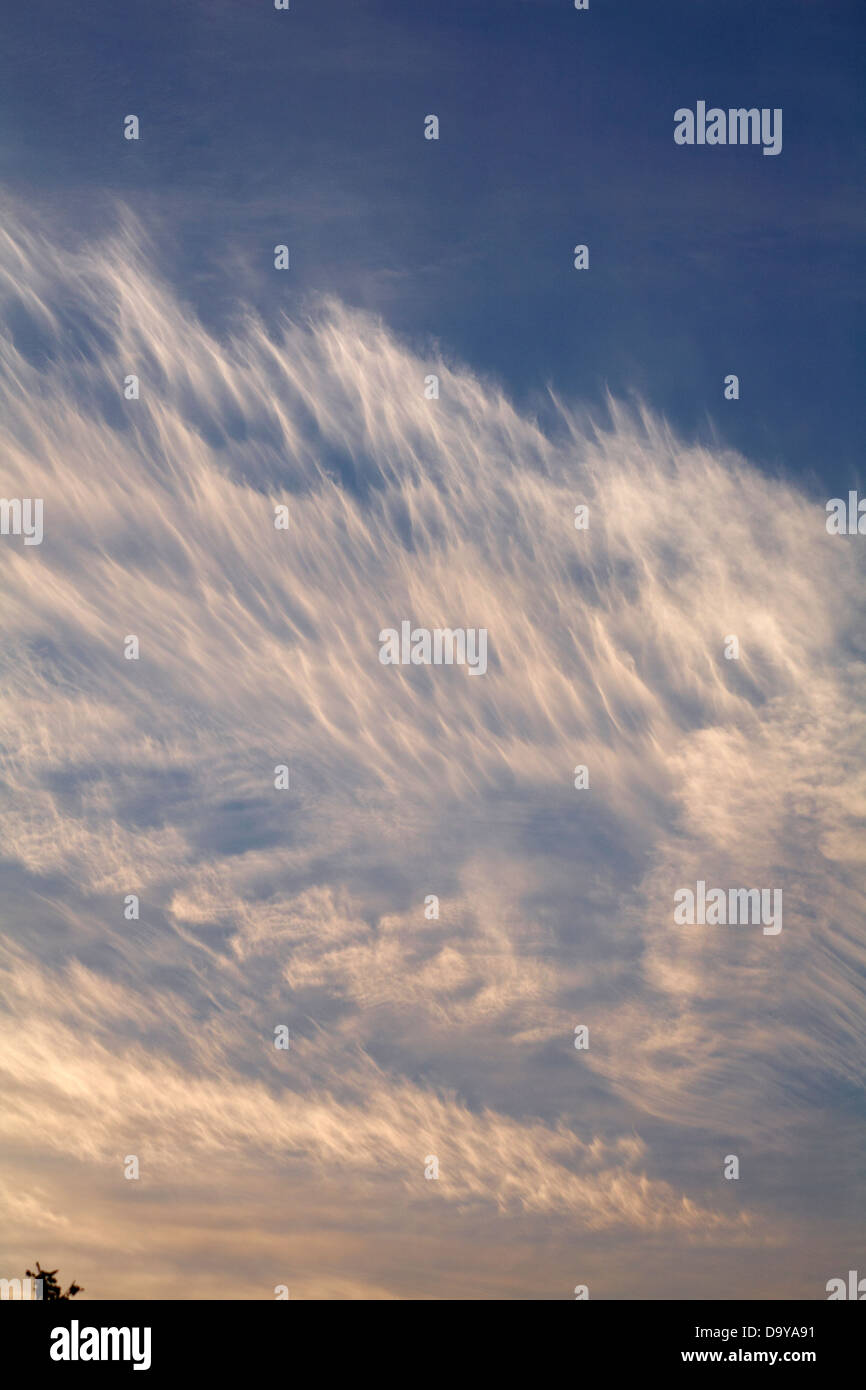 Coda mares cirrus cloud cloudscape a testa Hengistbury, Dorset in giugno Foto Stock