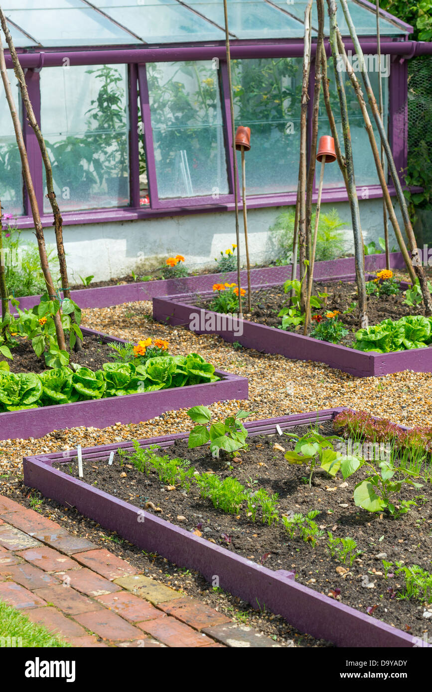 Inizio estate giardino con dipinto luminosamente sollevato letti con percorso shingle, Norfolk, Inghilterra, Giugno. Foto Stock