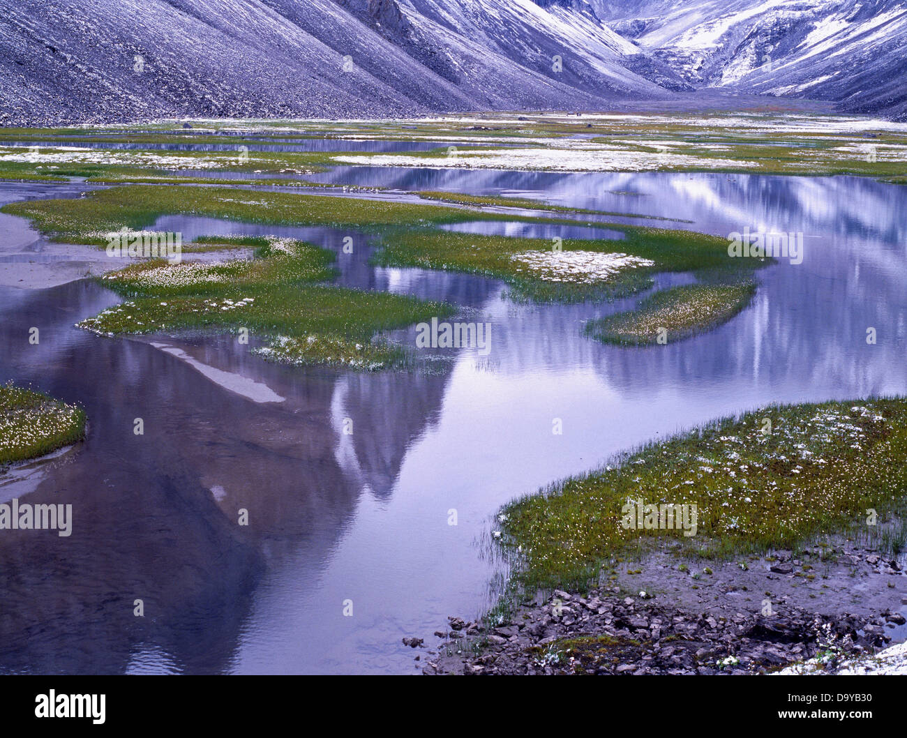 Ai primi di agosto snow accentuando cottongrass prato laghetti circondati picchi di calcare montagne Endicott Brooks Range Gates Arctic Foto Stock