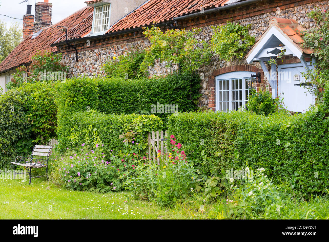 Fila di pietra focaia di fronte cottagres con privet hedge e giardino sedile, Norfolk, Inghilterra. Foto Stock