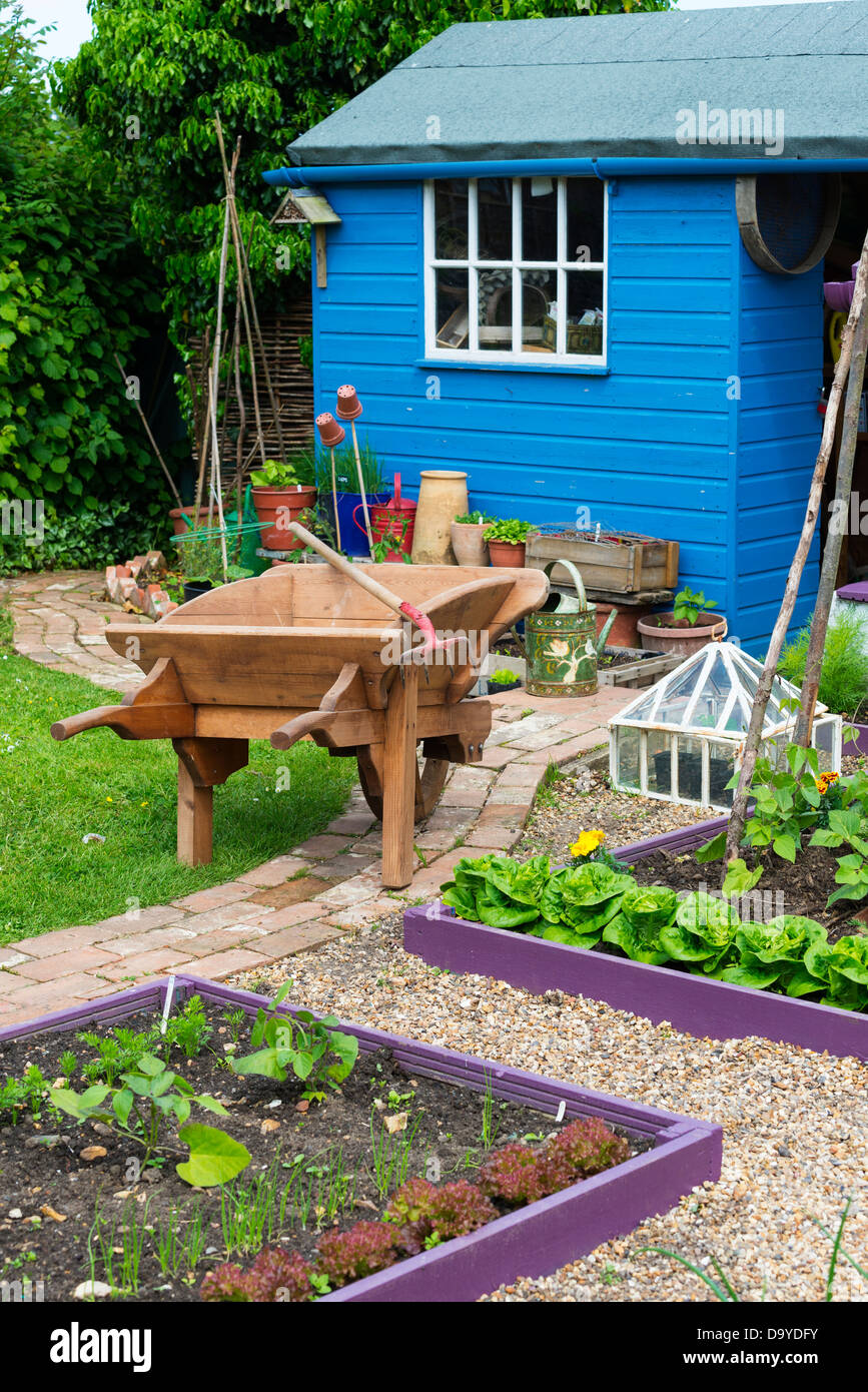 Inizio estate giardino con dipinto luminosamente sollevato letti con percorso shingle, Norfolk, Inghilterra, Giugno. Foto Stock