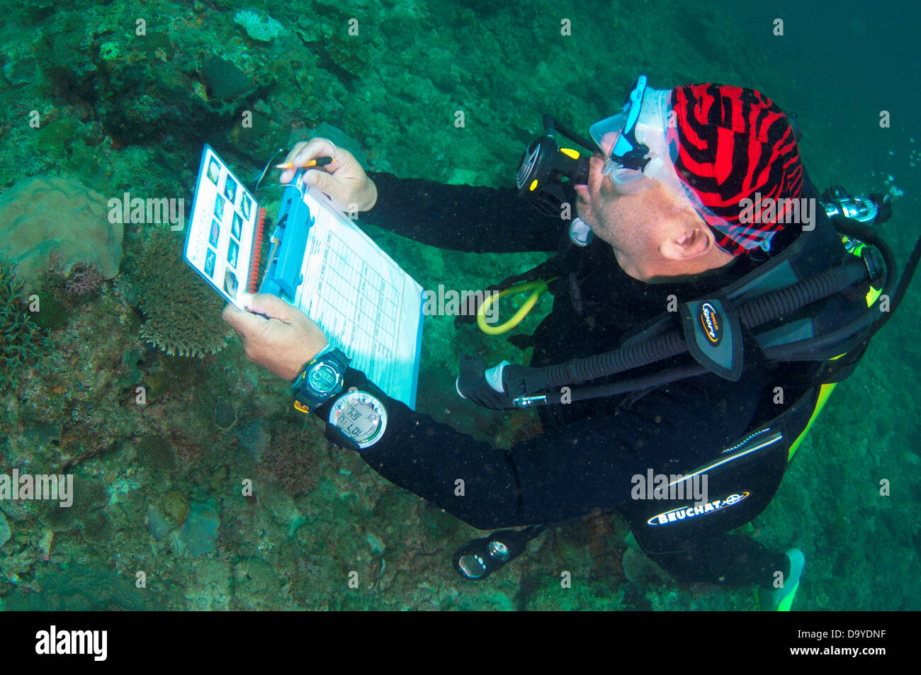 La pesca a condurre una gestione della barriera corallina e analisi della biodiversità, Brunei Foto Stock