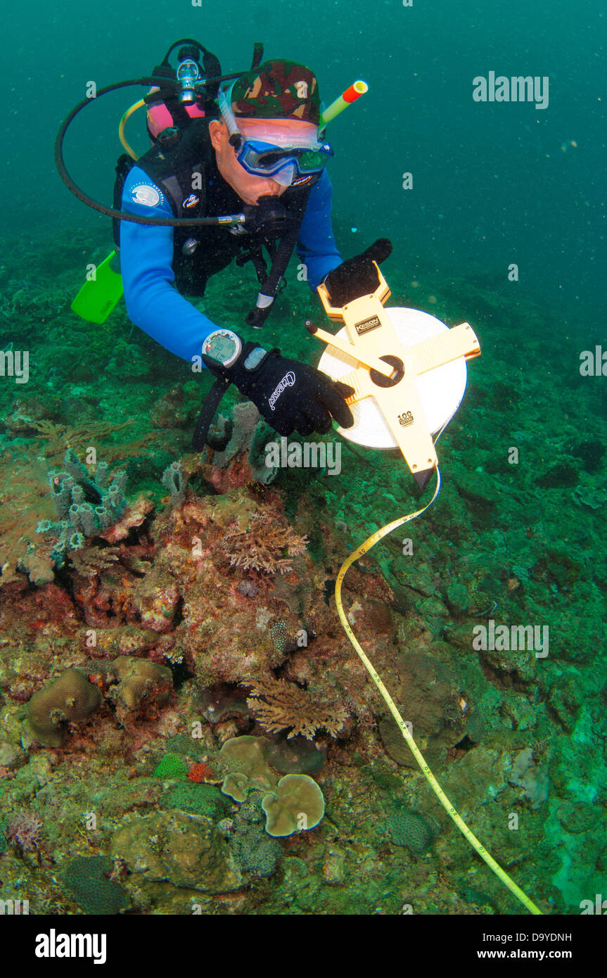 La pesca a condurre una gestione della barriera corallina e analisi della biodiversità, Brunei Foto Stock