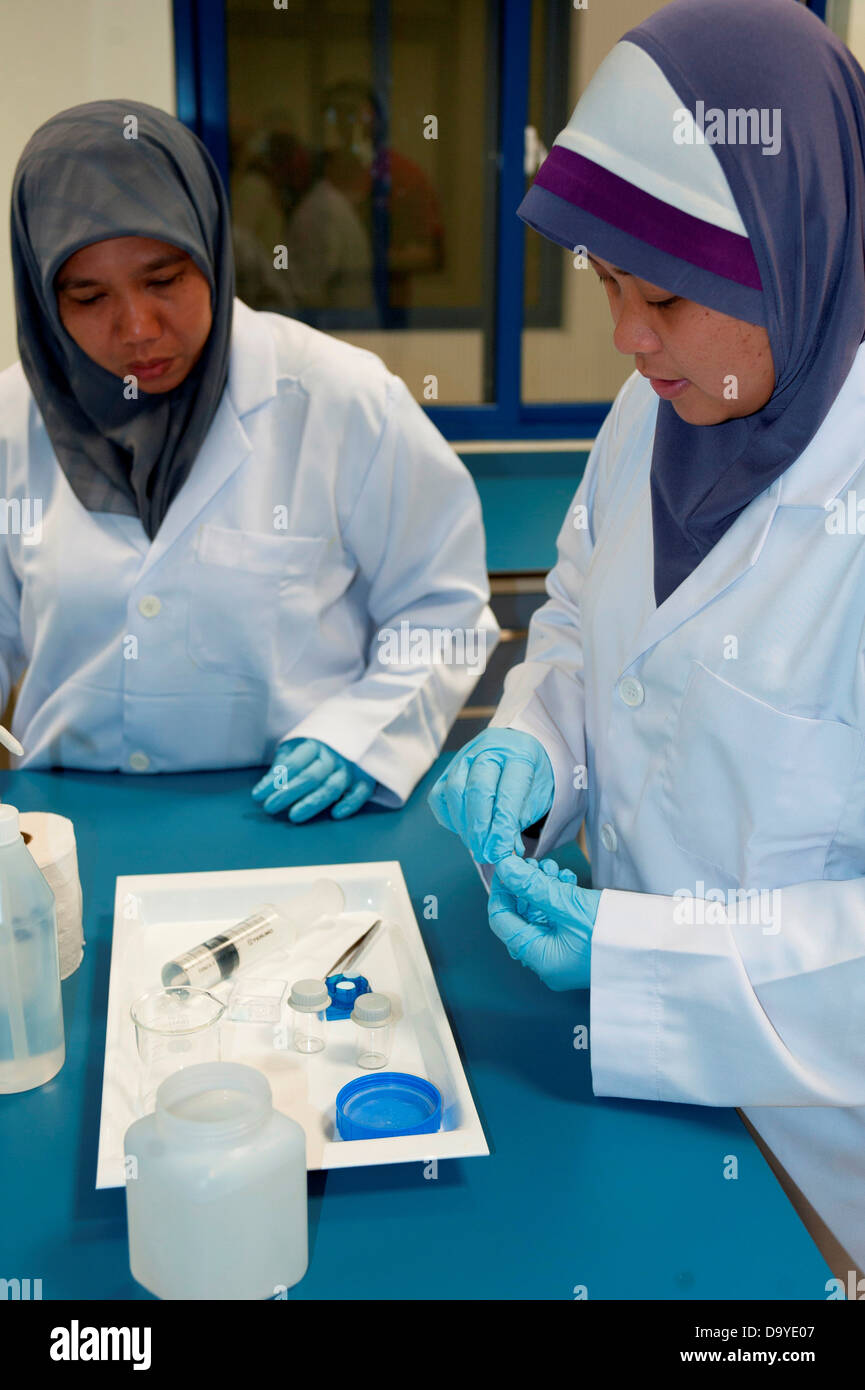 Gli scienziati analizzando i campioni di acqua prelevati in mare, Brunei Foto Stock
