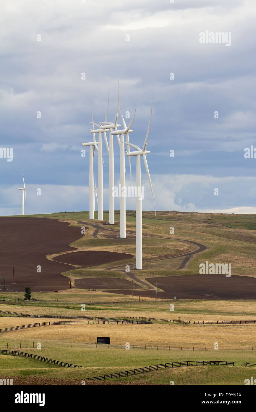 Le turbine eoliche fattoria di energia nel punto di Ventoso Goldendale Washington Terreni agricoli Foto Stock