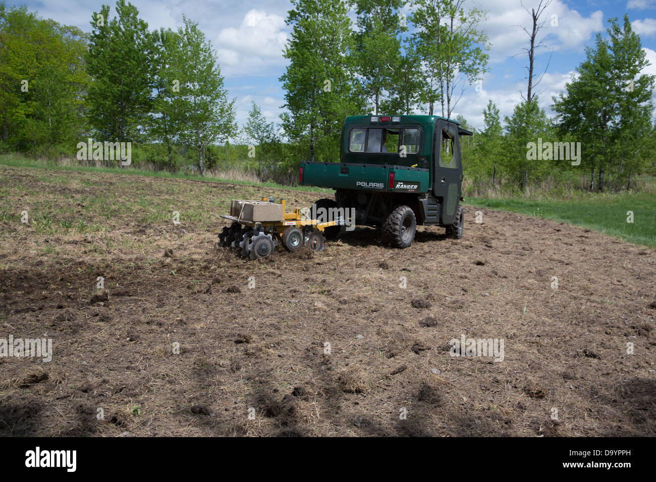 Creazione di un grafico di cibo per la fauna selvatica Foto Stock