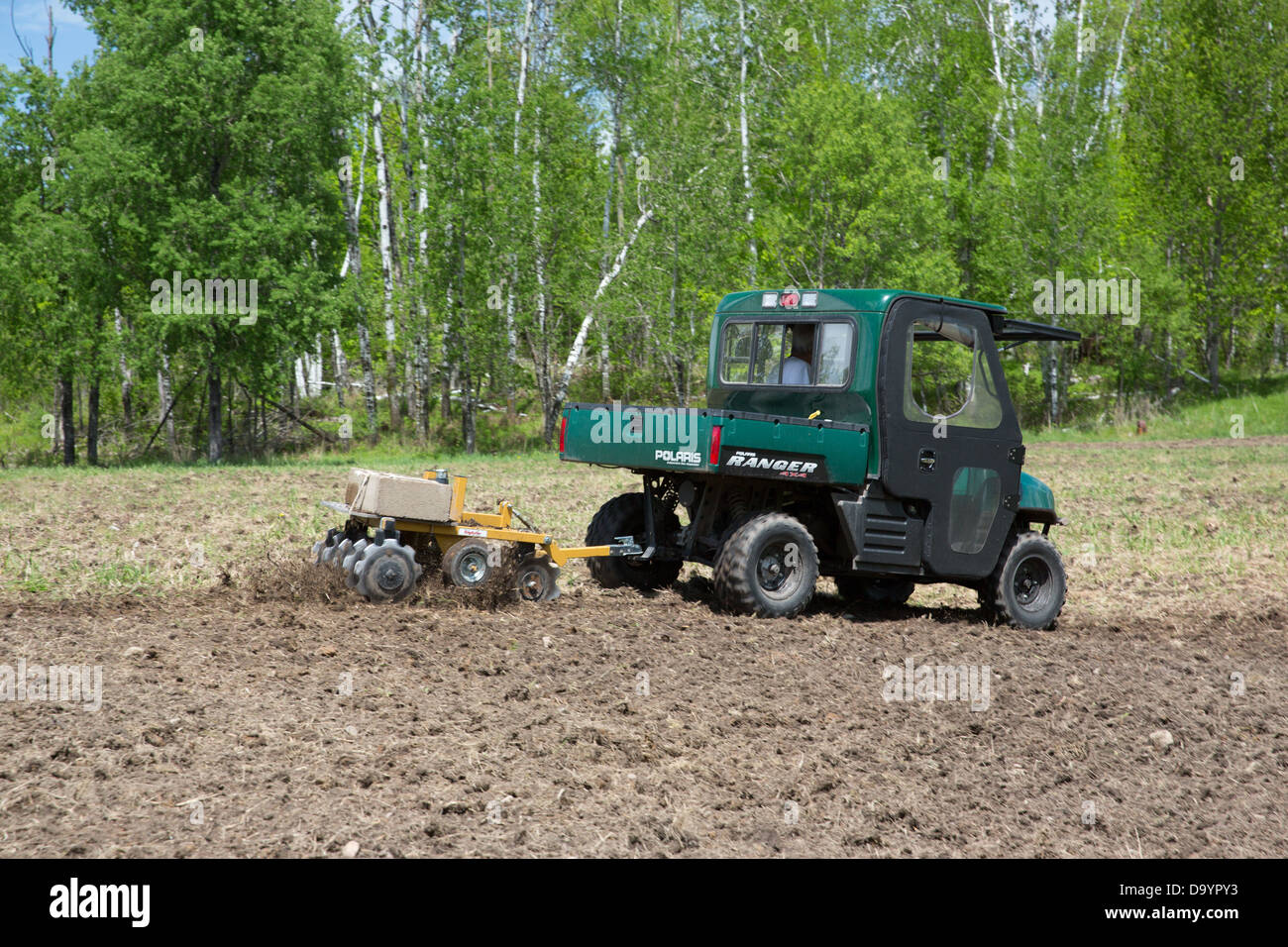 Creazione di un grafico di cibo per la fauna selvatica Foto Stock