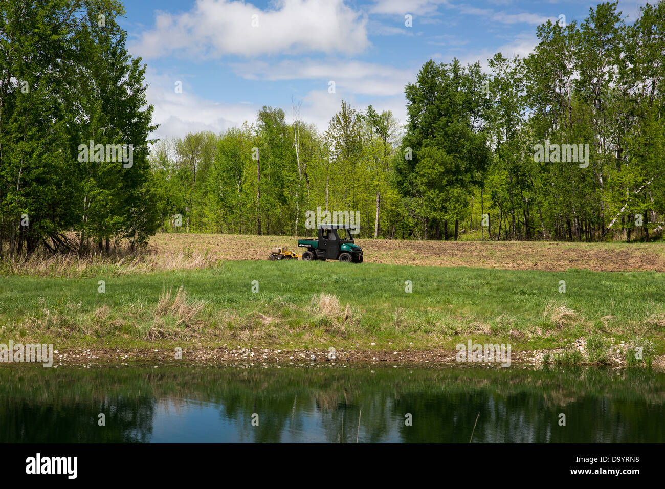 Creazione di un grafico di cibo per la fauna selvatica Foto Stock