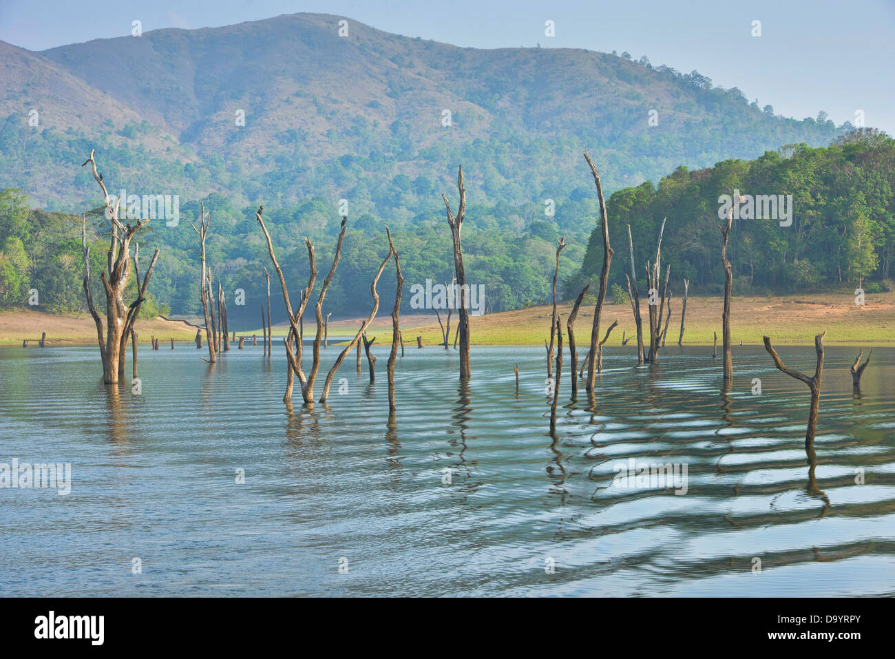 Vista del lago in del Periyar riserva della tigre in Kerala, India Foto Stock