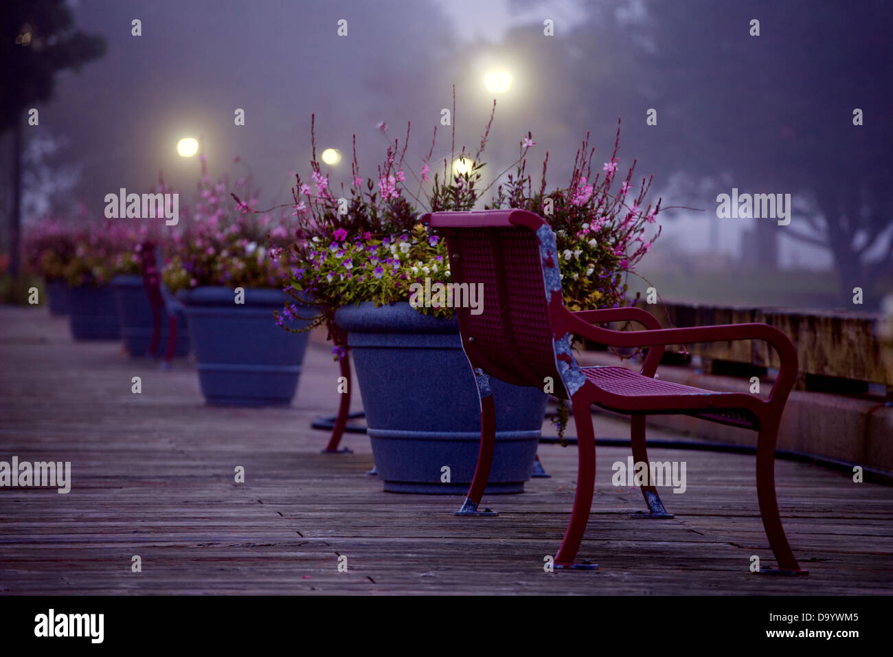 Luce bassa scena di una panchina nel parco e vasi di fiori su una passerella. Foto Stock