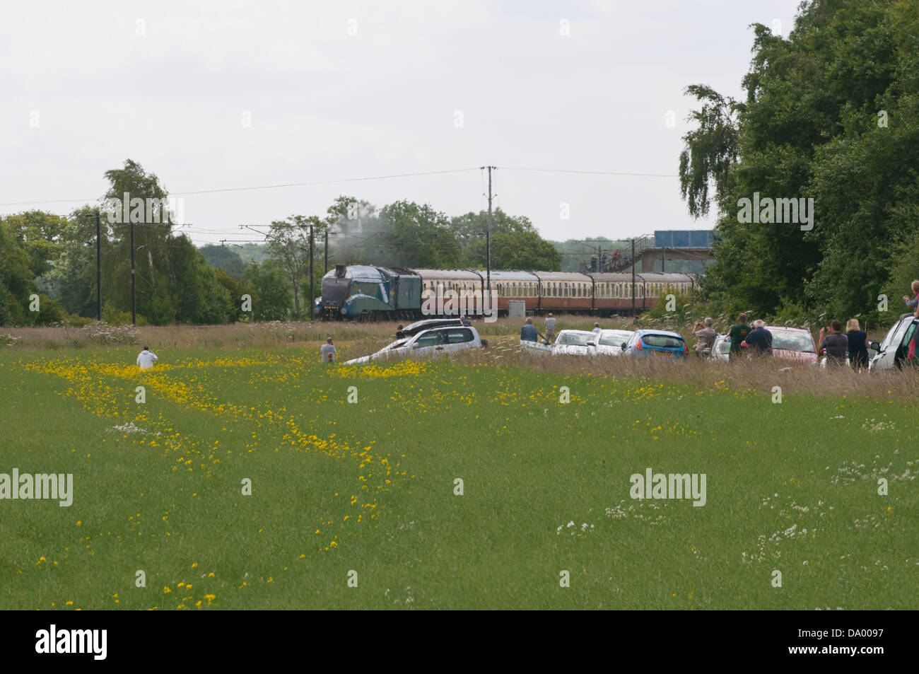 Tarabuso tira la striatura Ebor treno attraverso Church Fenton e Ryther sulla strada per il grande raduno a York Foto Stock