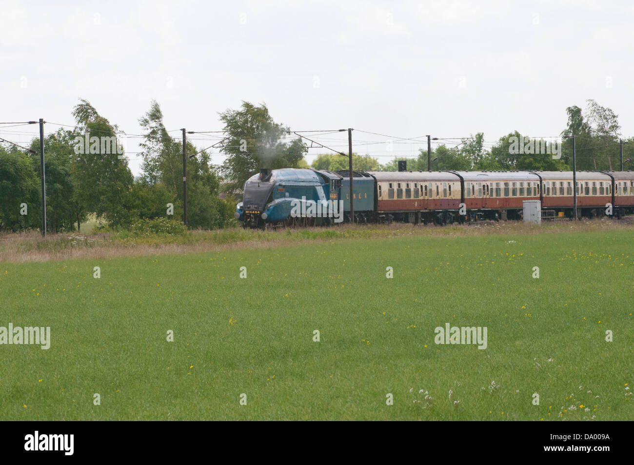 Tarabuso tira la striatura Ebor treno attraverso Church Fenton e Ryther sulla strada per il grande raduno a York Foto Stock
