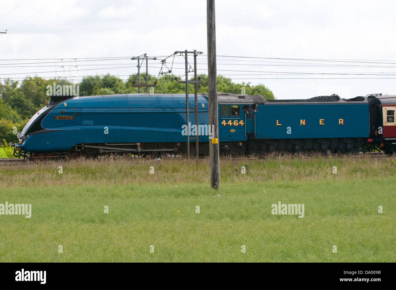 Tarabuso tira la striatura Ebor treno attraverso Church Fenton e Ryther sulla strada per il grande raduno a York Foto Stock