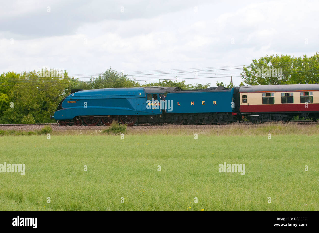 Tarabuso tira la striatura Ebor treno attraverso Church Fenton e Ryther sulla strada per il grande raduno a York Foto Stock