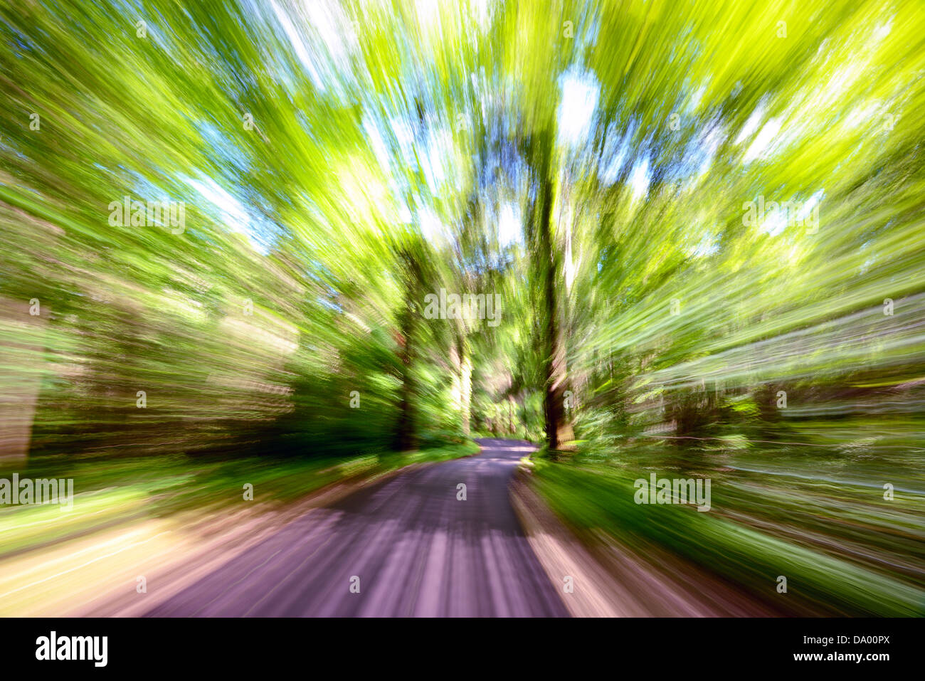 La sfocatura in movimento su una strada forestale Foto Stock