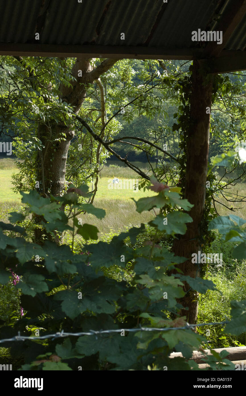Seguendo il corso del fiume Rheidol come esso fluisce oltre le miniere e attraverso la gloriosa Ceredigion campagna a Aberystwyth. Foto Stock
