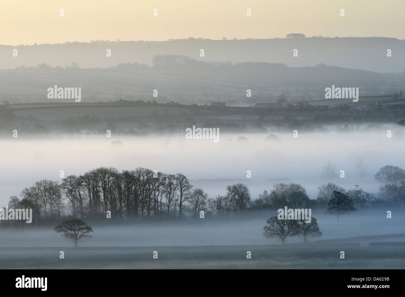 La vista su una nebbiosa mattina inverno a Wraxall sui livelli di Somerset, Regno Unito. Foto Stock