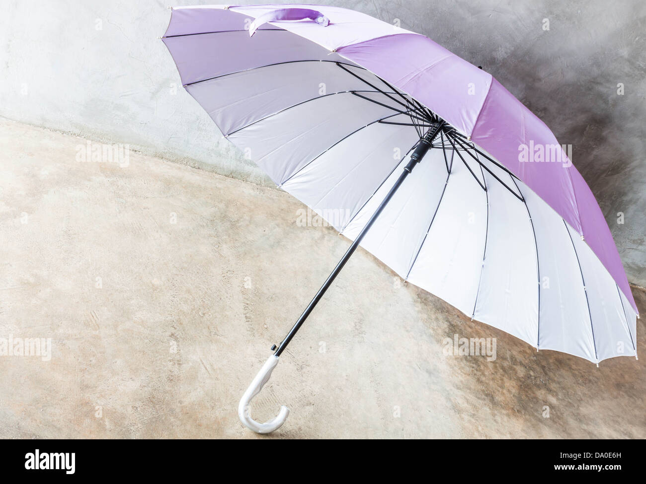 Viola argento bronzo protezione uv ombrello sul pavimento Foto Stock