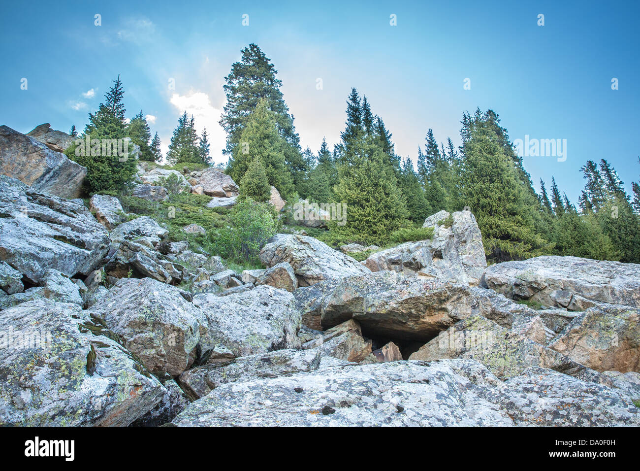 Natura vicino al grande Lago di Almaty, Tien Shan Montagne in Almaty, Kazakhstan,Asia di estate Foto Stock