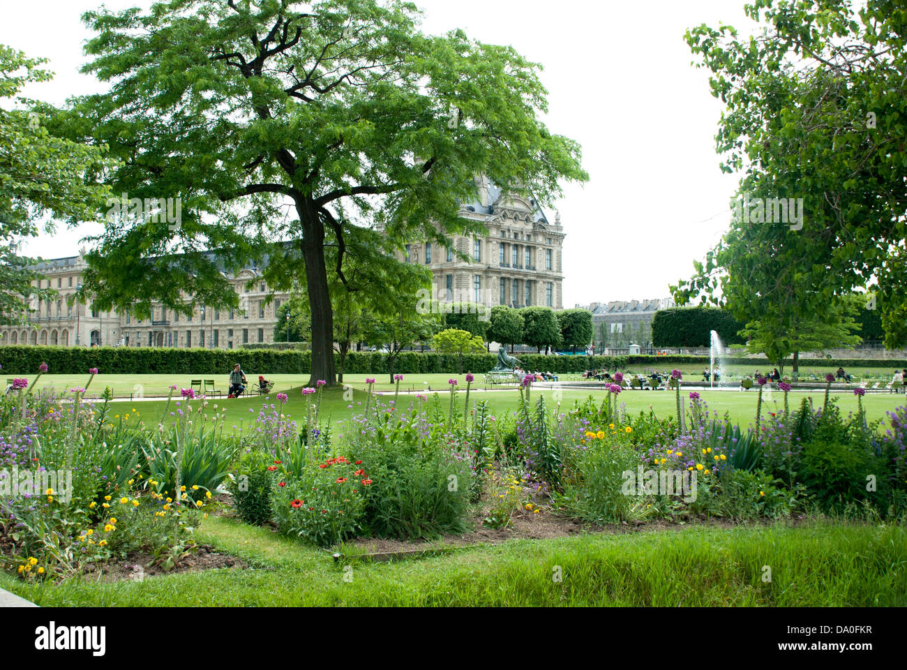 Fiori d'estate nel Jardin des Tuileries Parigi, compresi foxgloves e delphiniums. Foto Stock