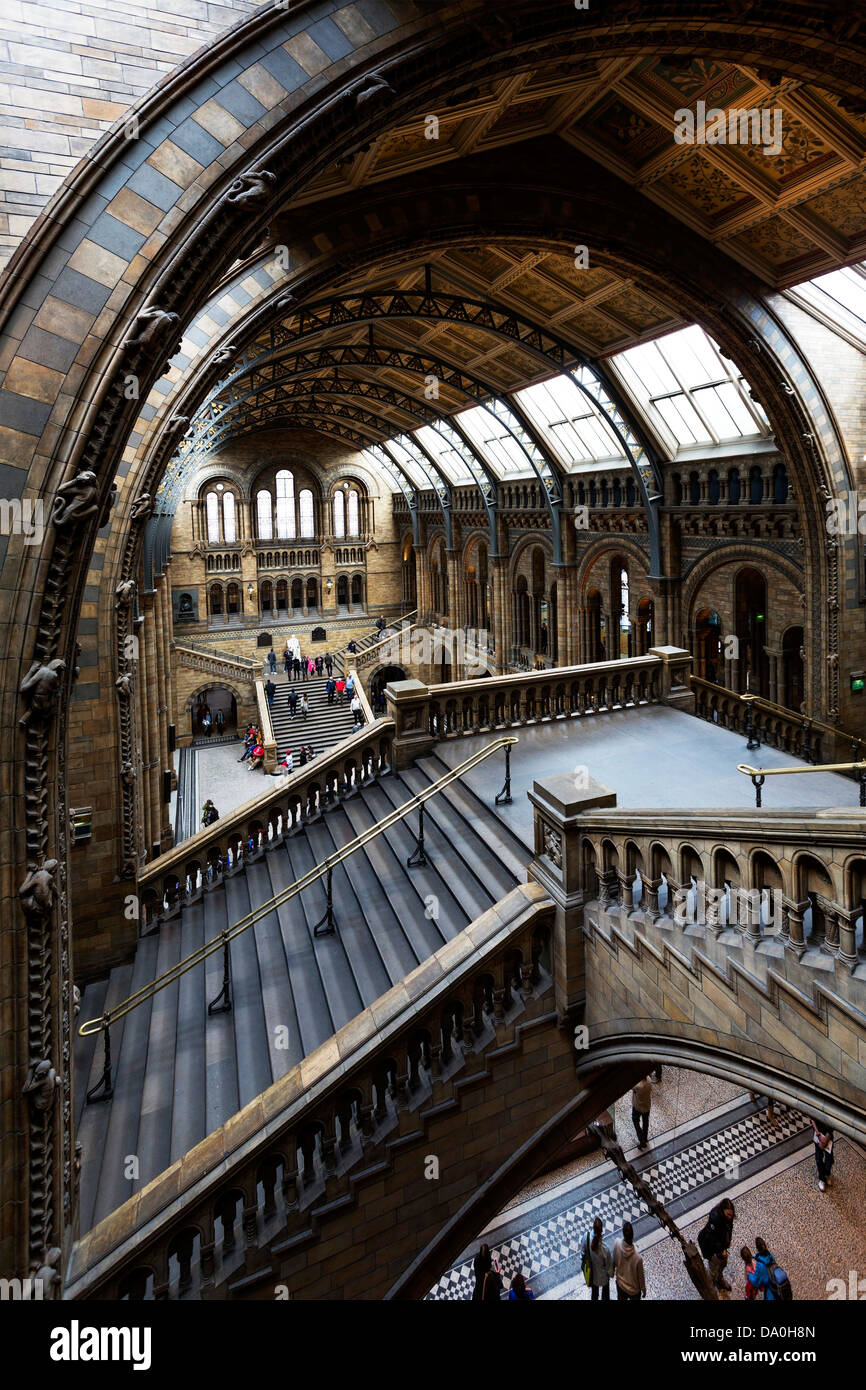 Museo di Storia Naturale di Londra Foto Stock