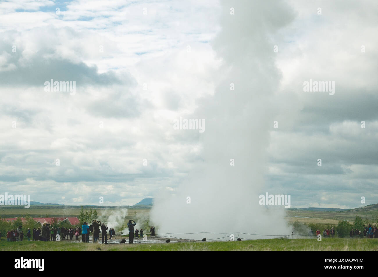 A Geysir, più o meno regolari, geyser o gusher, Islanda la versione di "vecchie fedeli", è una rinomata località turistica Foto Stock