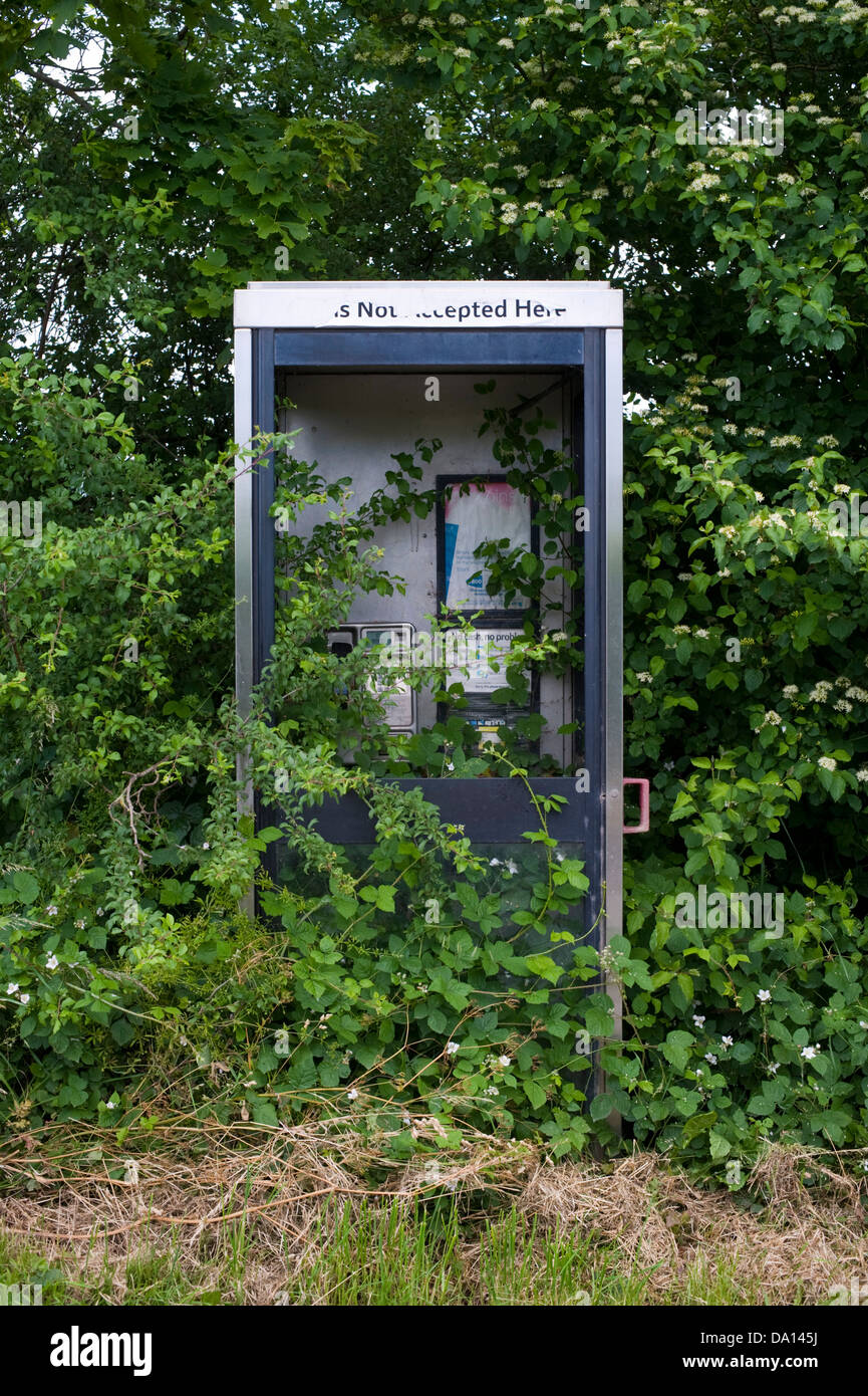 Incolto rurale telefono BT box su strada in Herefordshire campagna England Regno Unito Foto Stock