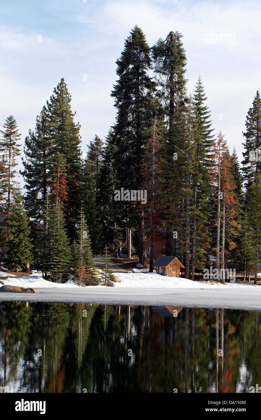 Cabina su un lago fuori Montecito Sequoia Lodge, Sequoia National Park, California, Stati Uniti d'America. Foto Stock